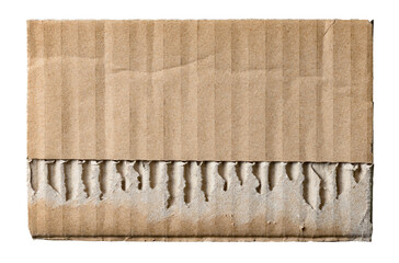 Piece of torn ripped and cut out brown corrugated cardboard with texture and fine details, transparent png background design element
