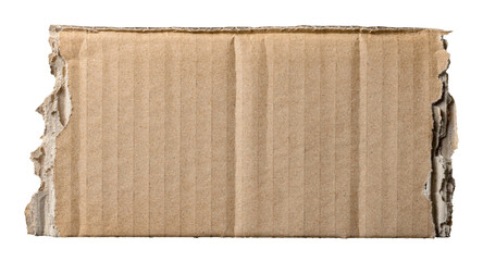 Piece of torn ripped and crumpled brown corrugated cardboard with texture and fine details, transparent png background design element