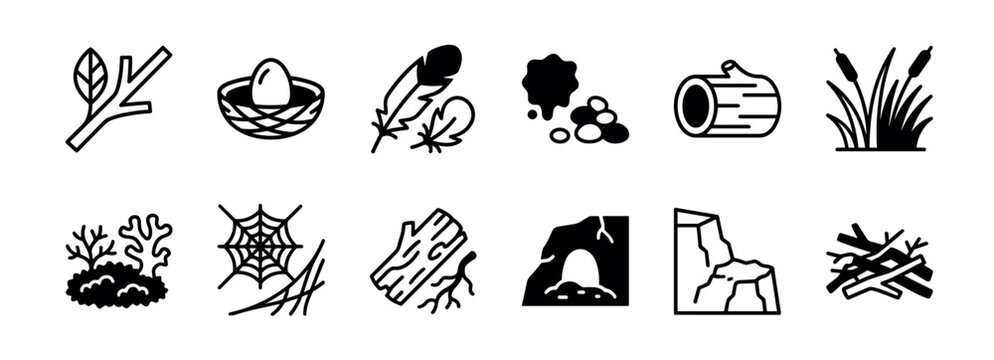 Set of twelve black nature glyph icons showing forest elements like a branch, nest with egg, feather, log, cave, and spiderweb in a simple minimalist style