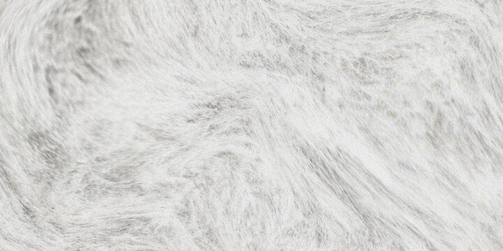 A gray and white image with no discernible objects