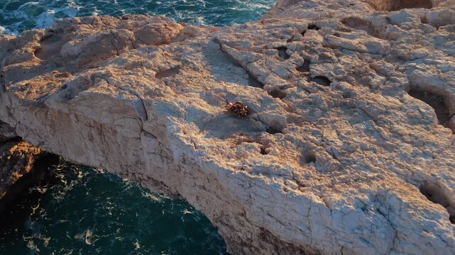 Aerial drone view of the Bridge of Love, a natural rock arch formation in Ayia Napa, Cyprus with multiple locks on top
