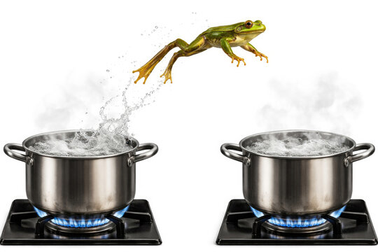 A frog jumps out of a boiling pot on the stove. Space for text.