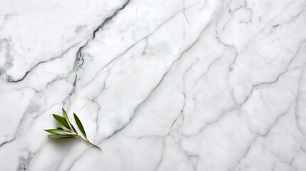 Fototapeta premium White marble texture with single green leaf branch