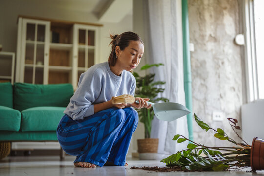 Woman cleaning up fallen houseplant and spilled soil
