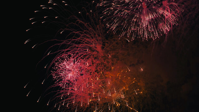 Colorful fireworks exploding in the night sky during a celebration