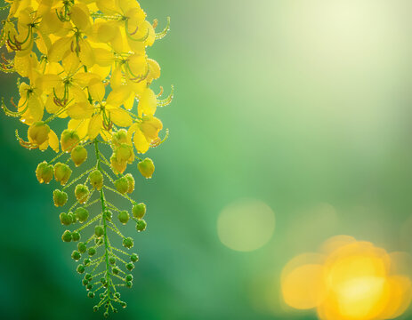 Vishu festival celebration with traditional Indian decor and flowers