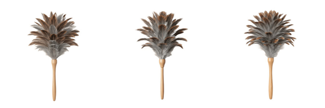 Set of Feather Dusters with Wooden Handles Isolated Transparent Background PNG