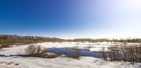 Obraz premium Wetland in winter: snow covers ground, water reflects sky, shrubs stand bare