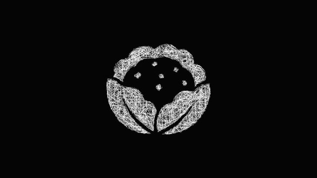 Sketch cauliflower icon animation - smooth progressive reveal