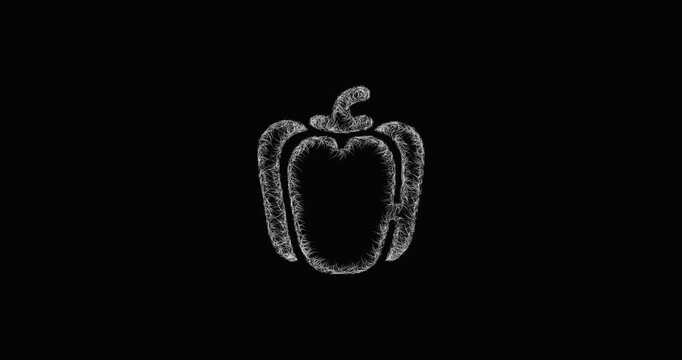 Sketch bell pepper icon animation - smooth progressive reveal