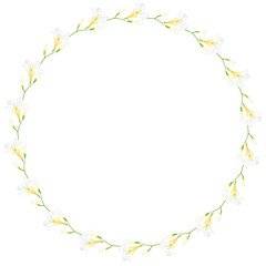 Fototapeta premium Realistic white freesia floral illustration isolated botanical wedding bouquet.