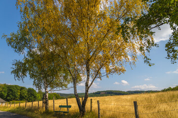 Sommer im Sauerland © srffotodesign