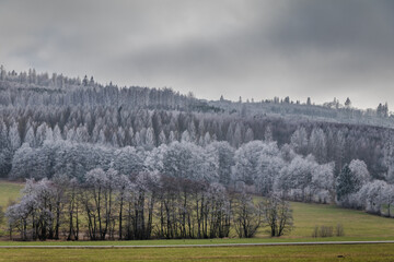 Fototapeta premium Winter im Sauerland