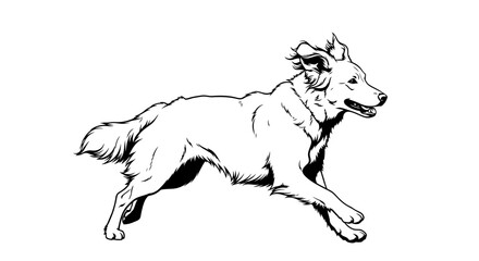 Fototapeta premium Energetic Running Dog Line Art Illustration on White Background, Black and White Dynamic Pet Sketch, Canine in Motion Drawing