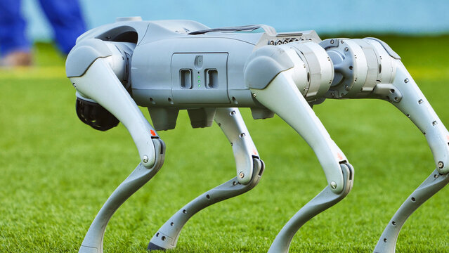 Unitree quadruped robot walking on green grass showcasing future artificial intelligence