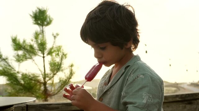 Happy little boy enjoying a delicious popsicle outdoors