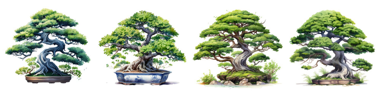 Collection of meticulously styled bonsai trees evokes harmony and tranquility