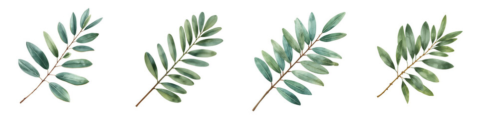 Fototapeta premium Four delicate eucalyptus branches with leaves against a dark background, showcasing botanical elegance
