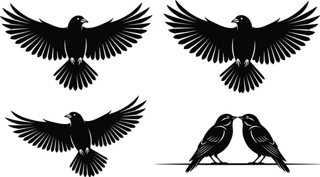 , animal graphic element, bird flight motion, black raven icon, soaring crow vector, bird pair silhouette, sitting bird vl bird silhouette