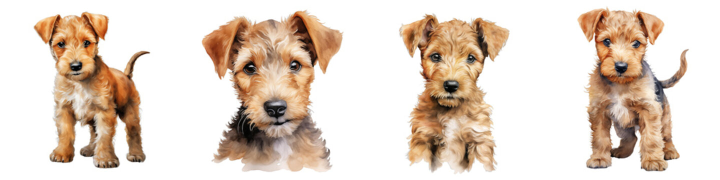 Adorable airedale terrier puppies stand on black background in watercolor painting style