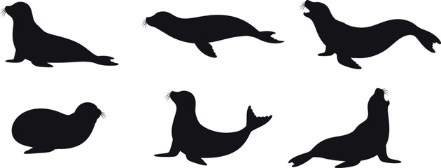 A collection of seal silhouettes for artwork compositions © Daniel