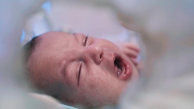 Closeup lovely little newborn baby infant lying in incubators for newborns, newborn in NICU, Neonatal intensive care unit.