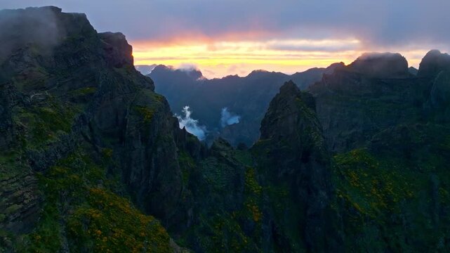 Mountains on sunset covered in fog and clouds with blooming Cytisus shrubs. Near Pico de Arieiro , Madeira island, Portugal. Push in approach dolly move
