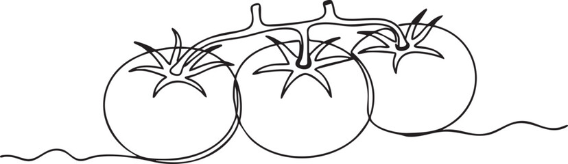 Fototapeta premium A black line drawing of three tomatoes on a vine