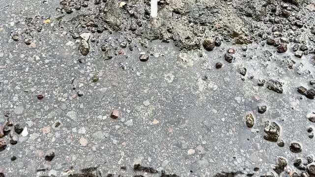 Rain hitting rough asphalt with scattered stones during wet weather, creating moody, realistic, and textured atmosphere.