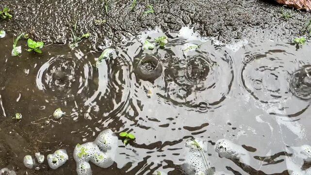 Raindrops creating ripples on muddy puddle during rainfall outdoors, forming calm, soothing, and meditative atmosphere.