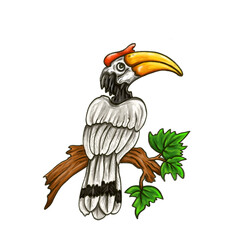 hornbill © Embango