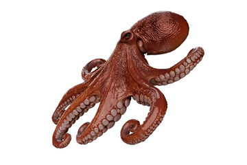 Fototapeta premium red 3d octopus on transparent background, underwater sealife