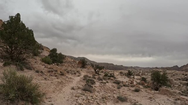 Wadi Rum Desert Jordan. The red desert and Jabal Al Qattar mountain.Where some famous movies where shot,Star Wars,Lawrence of Arabia.