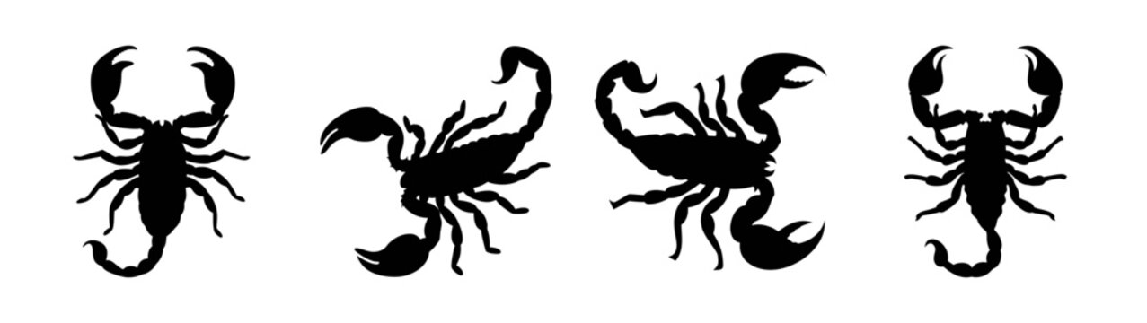 Scorpion silhouette vector art illustration graphic design arachnid insect dangerous animal black and white clip art