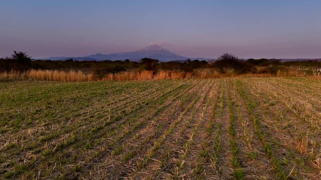 Popocatepetl volcano at sunset with fields between Cuernavaca and Puebla in Mexico. Drone camera flies over the fields towards the volcano at very low altitude