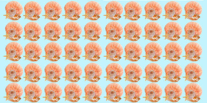  seashell pattern on blue background. summer textile design seashells and starfish on blue background. textile design, wrapping paper, branding and digital backgrounds.