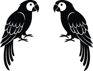 Vector illustration of two black parrot silhouettes facing each other isolated on a white background representing tropical birds macaw wildlife and nature design elements. © MstLata