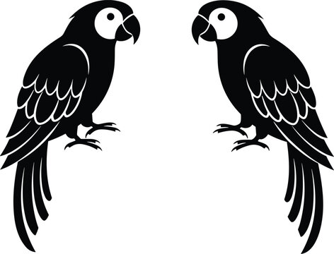 Vector illustration of two black parrot silhouettes facing each other isolated on a white background representing tropical birds macaw wildlife and nature design elements.