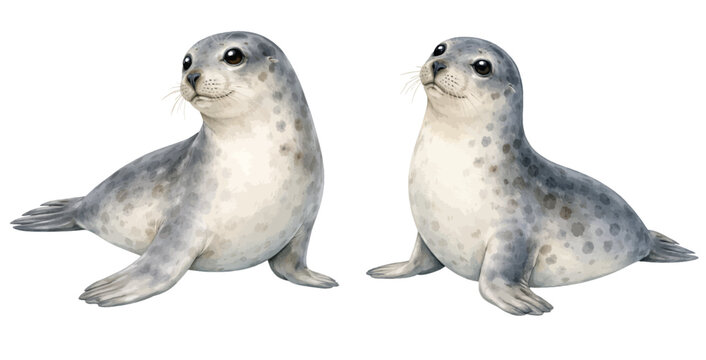 A charming watercolor collection of baby seals featuring cute gray marine animals with soft spotted fur illustrated in a gentle wildlife style.