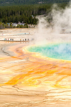 USA, Wyoming, Yellowstone National Park.  The iconic Grand Prismatic Spring in the Midway Geyser Basin. 