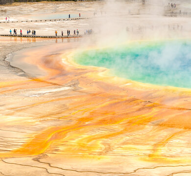 USA, Wyoming, Yellowstone National Park.  The iconic Grand Prismatic Spring in the Midway Geyser Basin. 