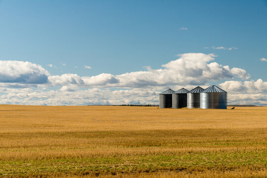 USA, Montana, Helena.  Agricultural storage bins in recently harvested grain field.