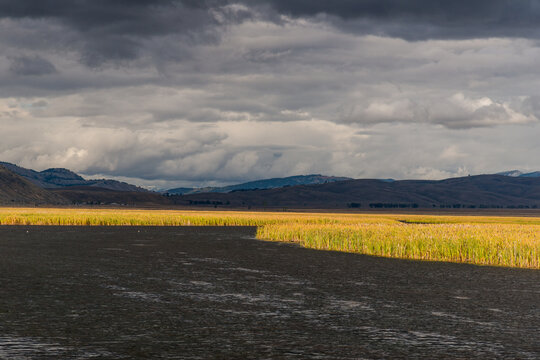 USA, Wyoming,  Jackson Hole.  Dramatic light on the marshland beneath dark cloud mass in the National Elk Refuge