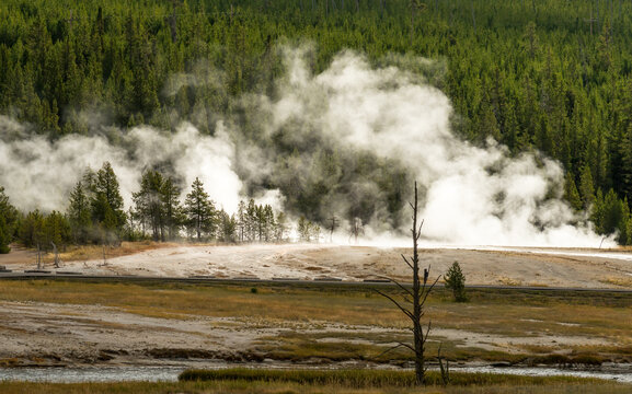 USA, Wyoming, Yellowstone National Park. View of landscape with steaming hot springs, and other geothermal curiosities.  Upper Gyeser Basin, Biscuit Basin Loop