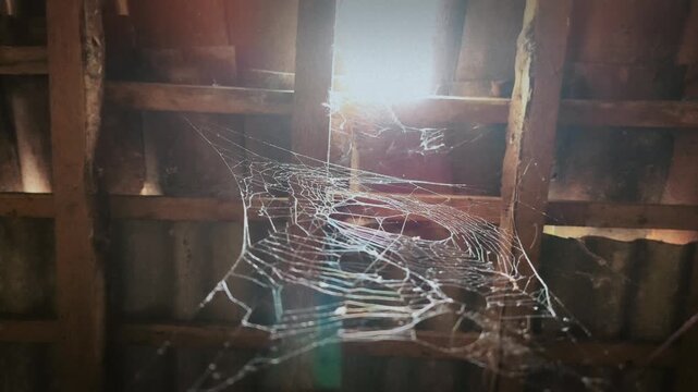 Sunlight pierces through a dusty attic window