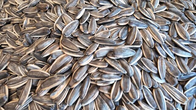 Sunflower seeds pile close up view in slow motion for food and nutrition video background.