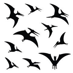 A collection of pterosaur silhouettes in various flight poses © jasminartist