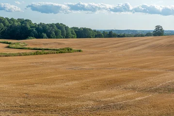 Yellow farm field © Pavel Cheiko