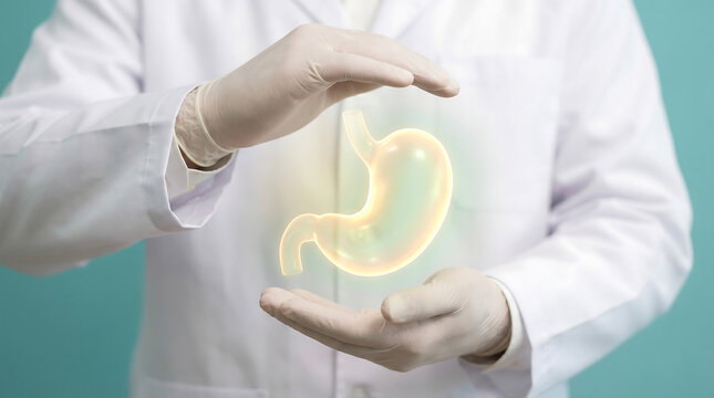 A healthcare professional's hands gently cradle a glowing illustration of the human stomach, symbolizing dedicated care, digestive health, and medical support