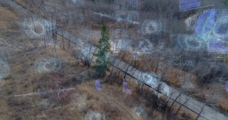 Fototapeta premium Showing narrow wooden boardwalk and evergreen tree winding through marsh, with AR overlays